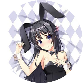 Mai Sakurajima Rascal Does Not Dream Bunny Senpai