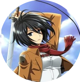 Mikasa Attack on Tita