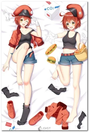 Red blood cell illustration for educational science use