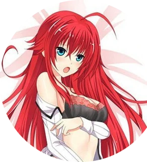 Rias Gremory High School DxD