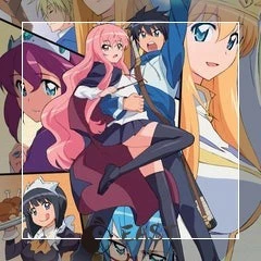 The Familiar of Zero Waifu Pillow